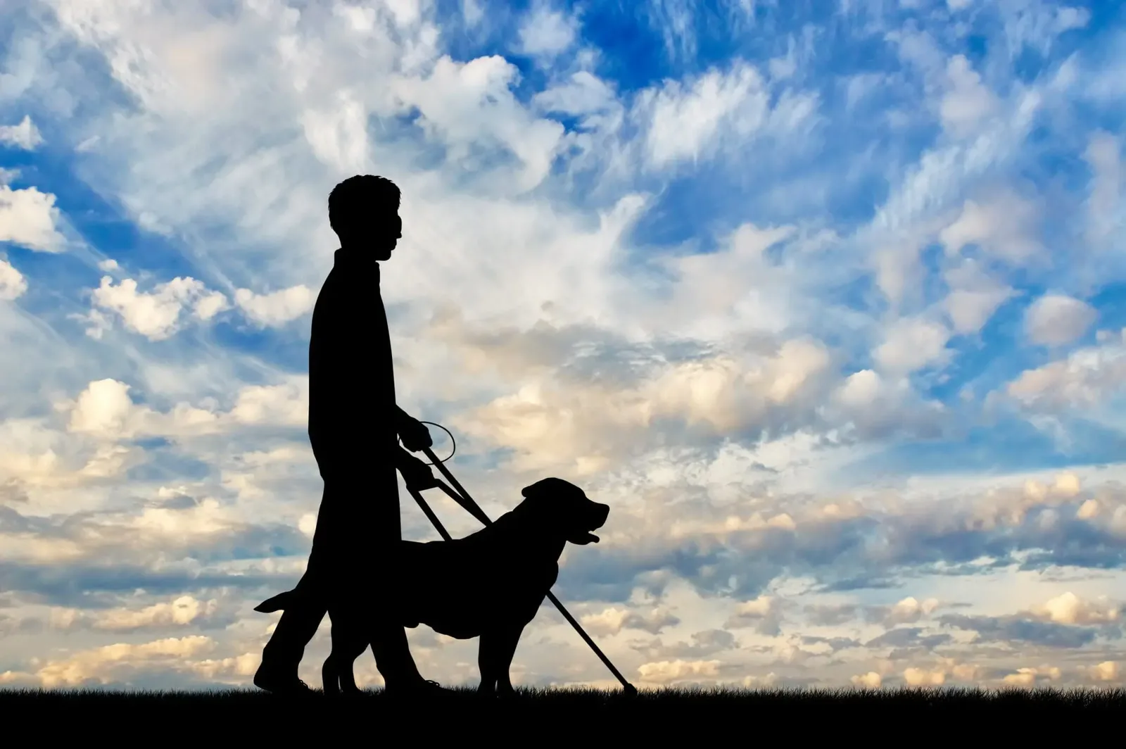 My Story, Part 1: Life Before Blindness: A Practical Independence Checklist