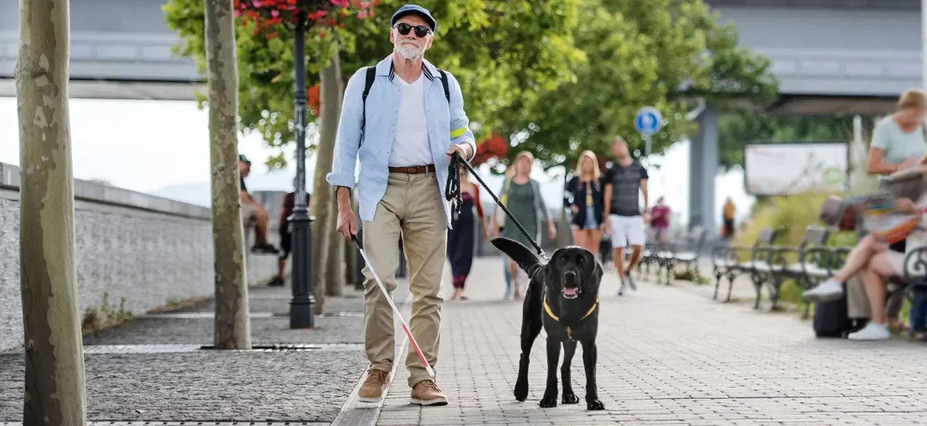 Orientation and Mobility — Getting Around for Greater Independence in Everyday Life