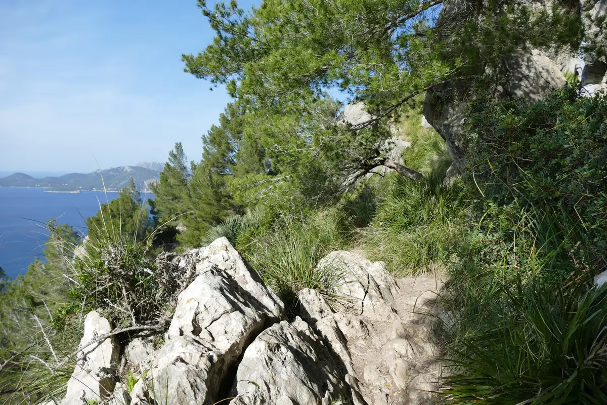 How to Prepare for a Guided Hike